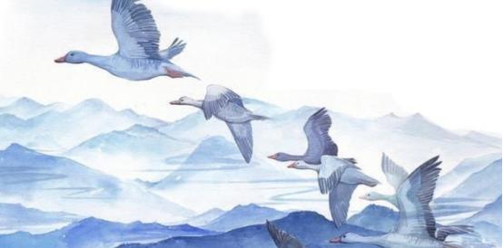 今天终于知道墓碑上的“故、显、考、妣”是什么意思了