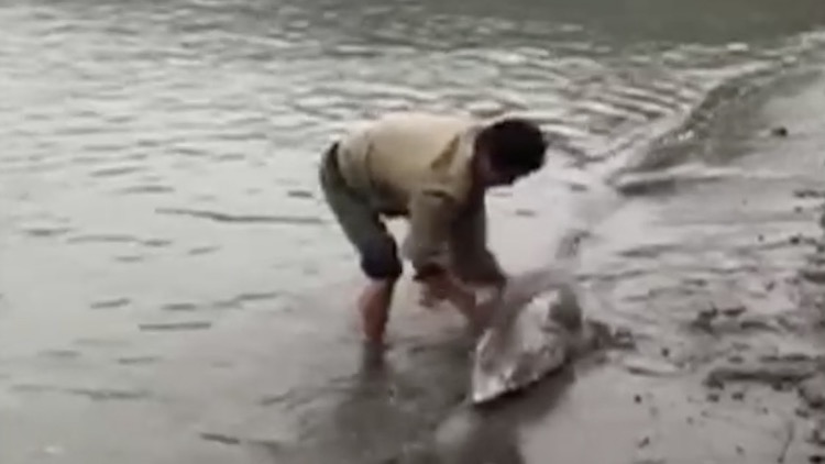 滨江新内涵：大都市里的“小确幸”