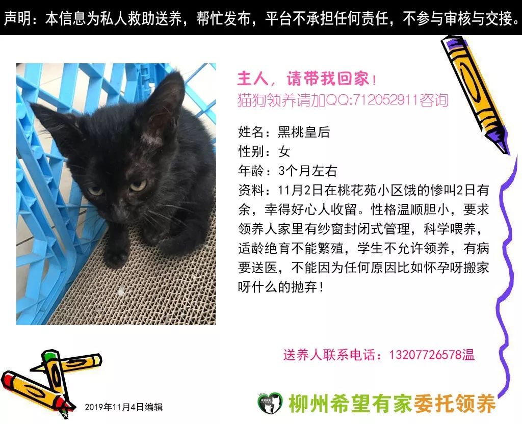 惹蜘蛛,惹了蜘蛛蜘蛛会记仇吗