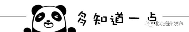 朝阳区劳务市场招工信息,北京通州台湖劳务市场