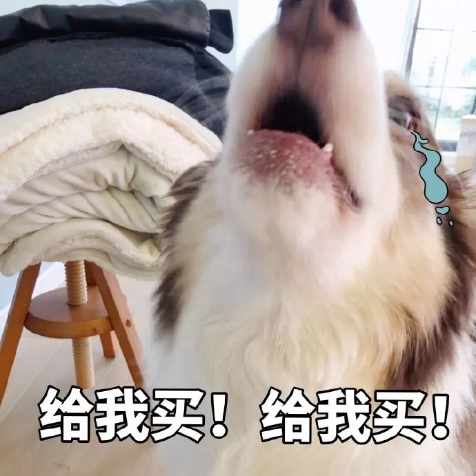 看完2020大牌新包，我的买包清单有几米长了…