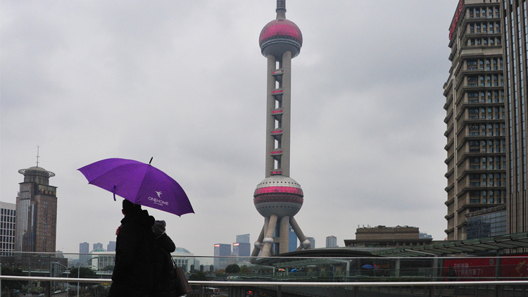 滨江新内涵：大都市里的“小确幸”