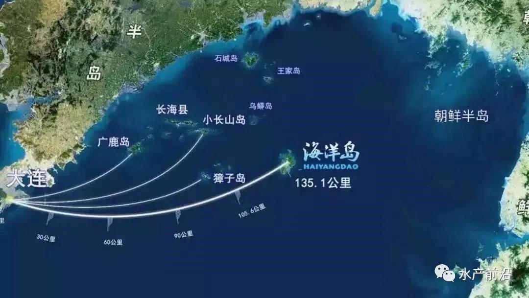 大连长海海燕家海参质量怎么样,哪里能买到正宗长海海参