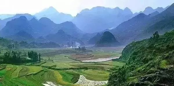 三种日常小食材养胃良方,吃什么零食养胃又治胃病