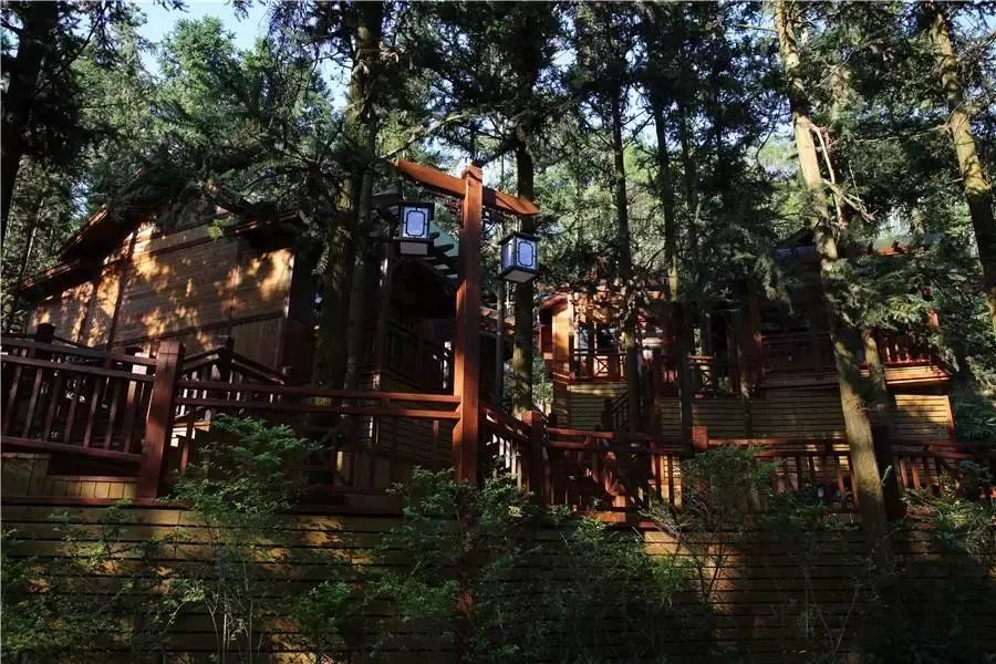 清远温泉室外民宿带私人泡池,清远汤塘温泉民宿不过夜