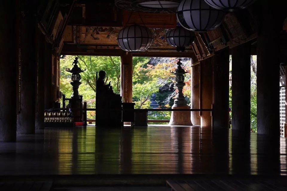 省钱又实用的日本“红叶狩”攻略错过又要等一年|用耳朵旅行的财经主播Nina