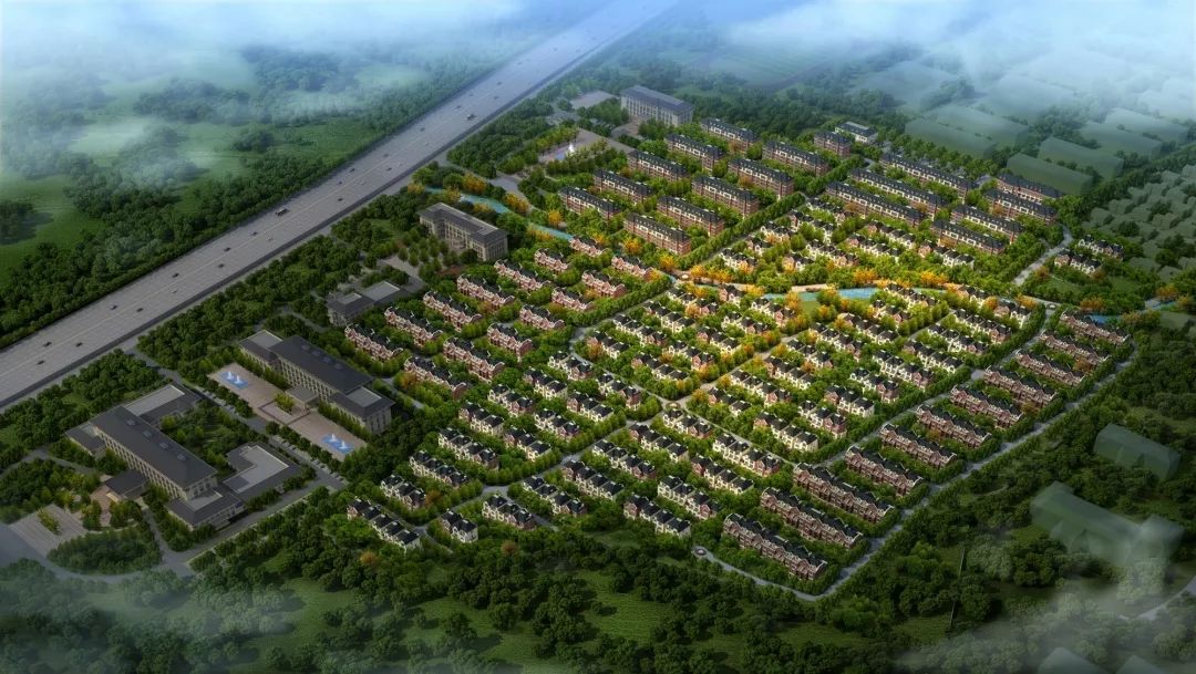 946娲诲姩,946娲诲姩鏂规