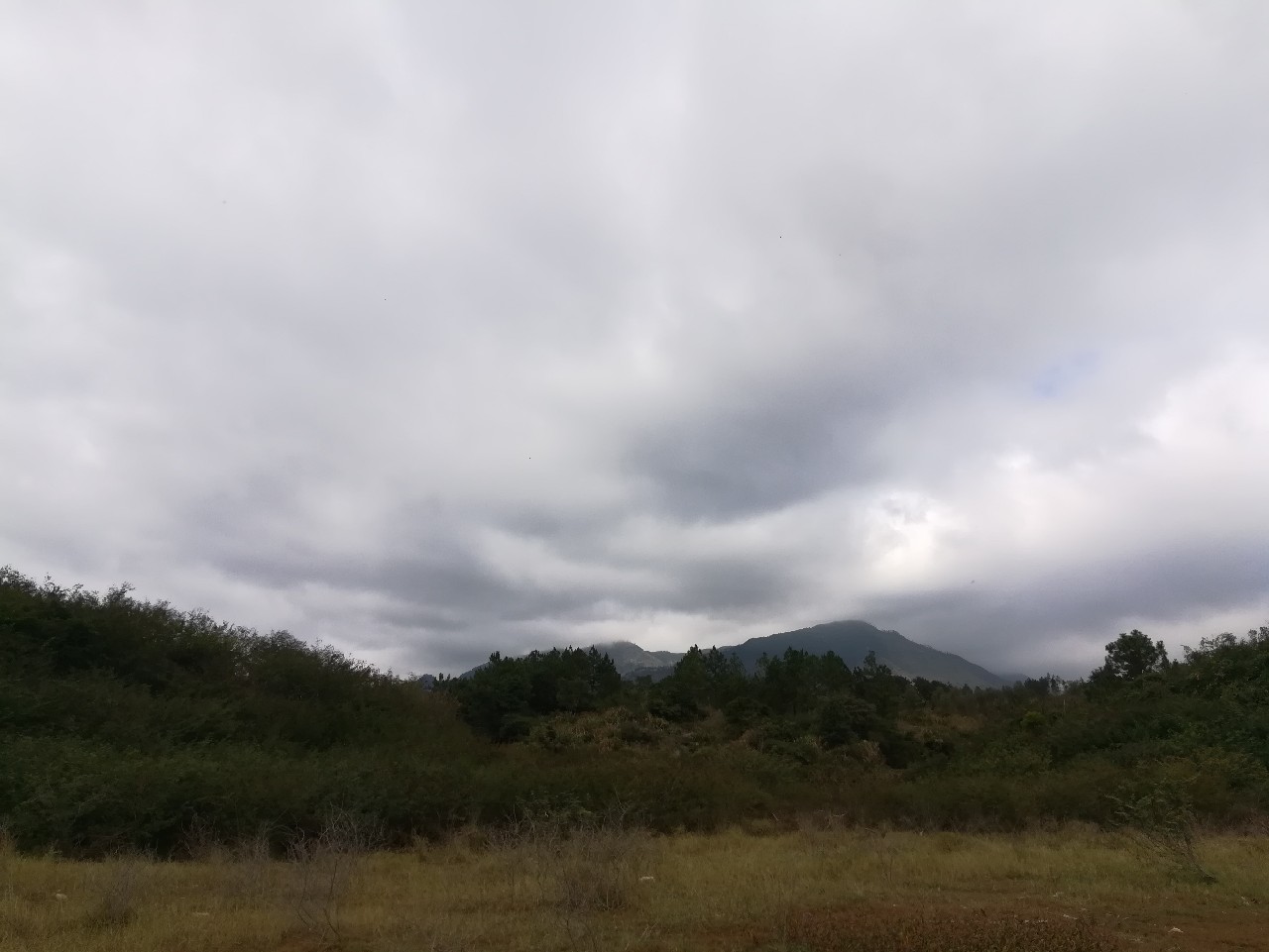 不钓鱼全是烦恼,不钓鱼心里没滋味