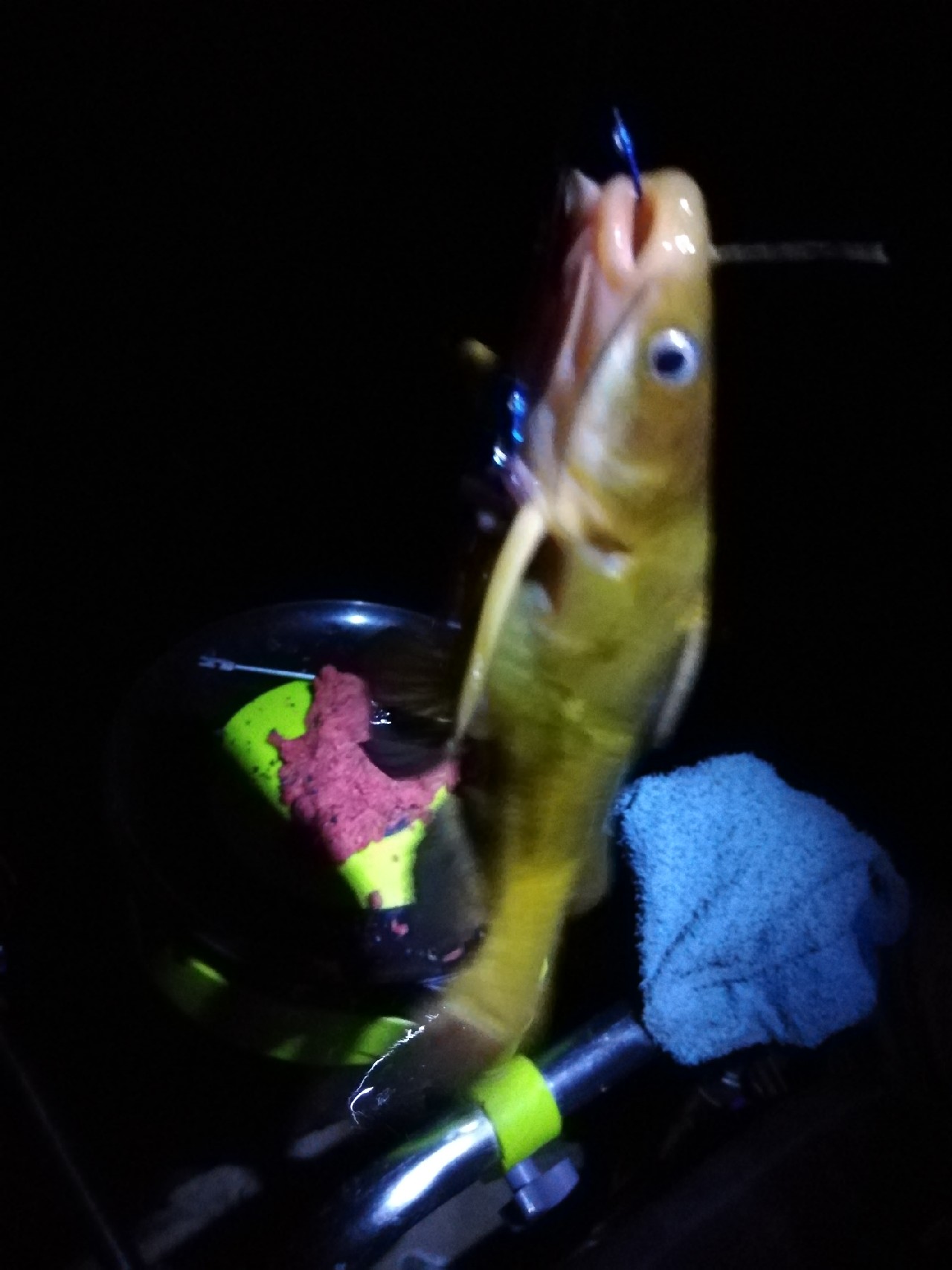 不钓鱼全是烦恼,不钓鱼心里没滋味