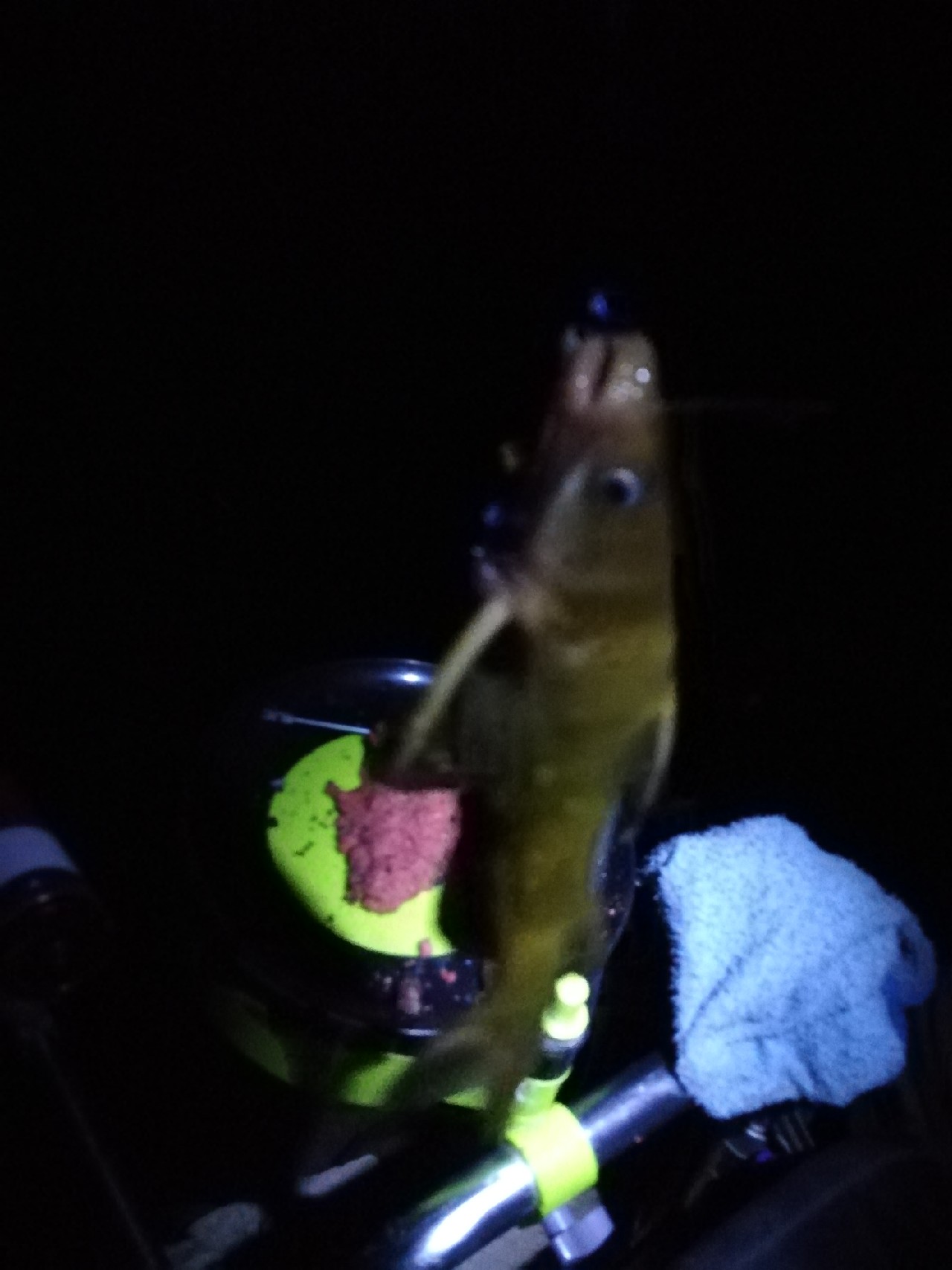 不钓鱼全是烦恼,不钓鱼心里没滋味