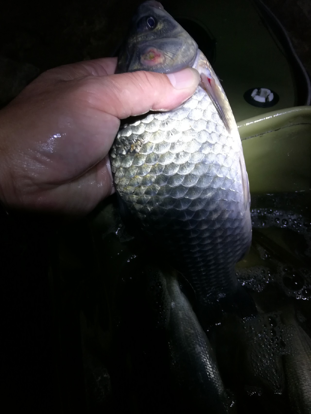 不钓鱼全是烦恼,不钓鱼心里没滋味