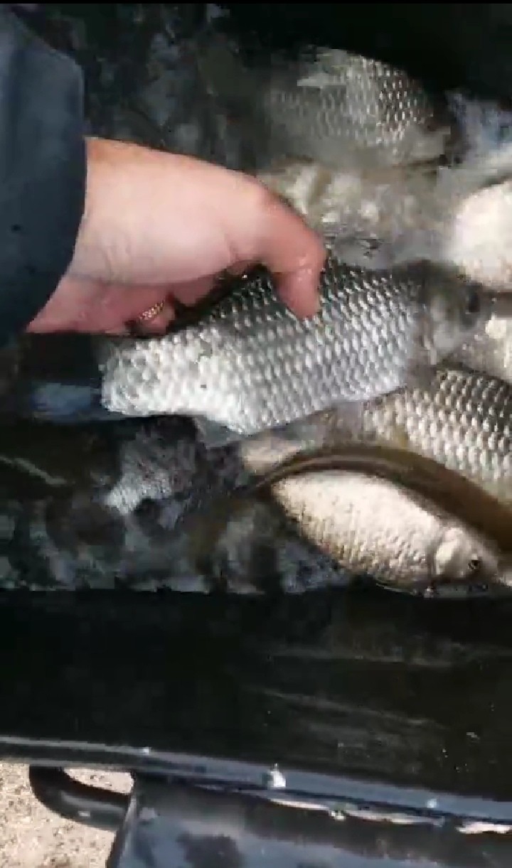 不钓鱼全是烦恼,不钓鱼心里没滋味