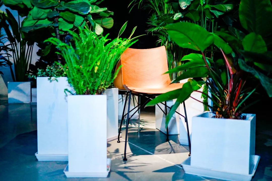 kartell家具品牌,意大利家具品牌baxter历史