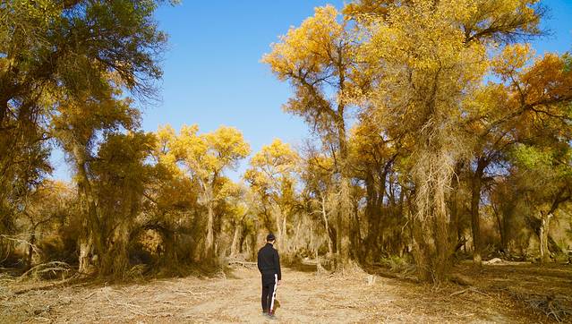 新疆南疆自驾最详细旅游攻略,从南疆自驾到北疆的最佳路线