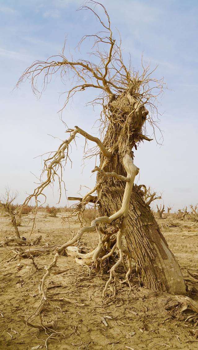 新疆南疆自驾最详细旅游攻略,从南疆自驾到北疆的最佳路线