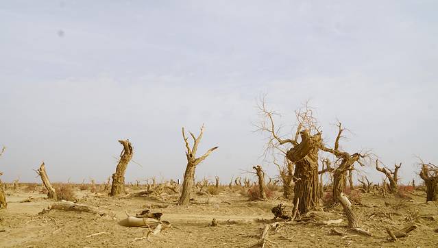 新疆南疆自驾最详细旅游攻略,从南疆自驾到北疆的最佳路线