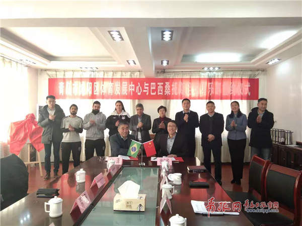 巴西新星桑托斯,桑托斯签约高拉特