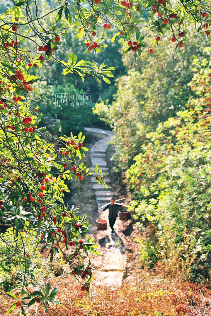 台州最具幸福感城市,幸福四重奏粤语