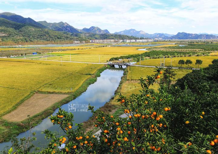 台州最具幸福感城市,幸福四重奏粤语