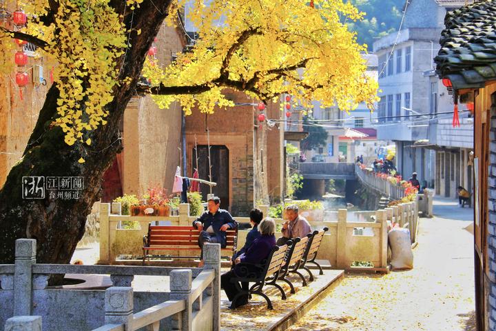 台州最具幸福感城市,幸福四重奏粤语