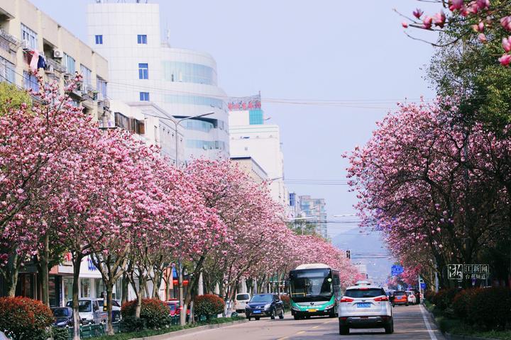 台州最具幸福感城市,幸福四重奏粤语