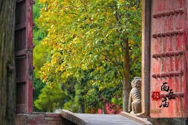 华山旅游西岳庙,来华山一定要去的地方西岳庙