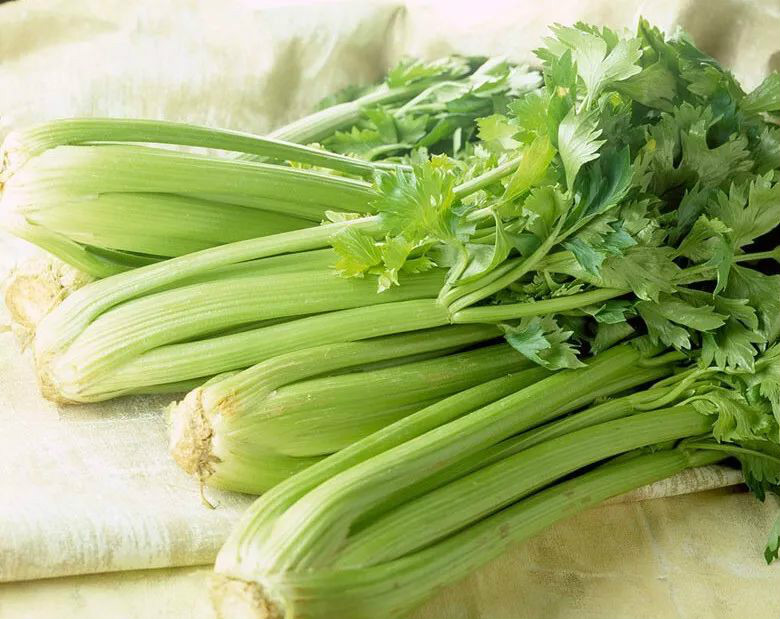 换季容易感冒？吃药之前可以试试这些食物，好处很多