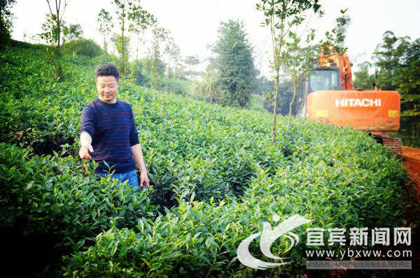 四川省江安县农商银行地址,江安县农商银行贷款