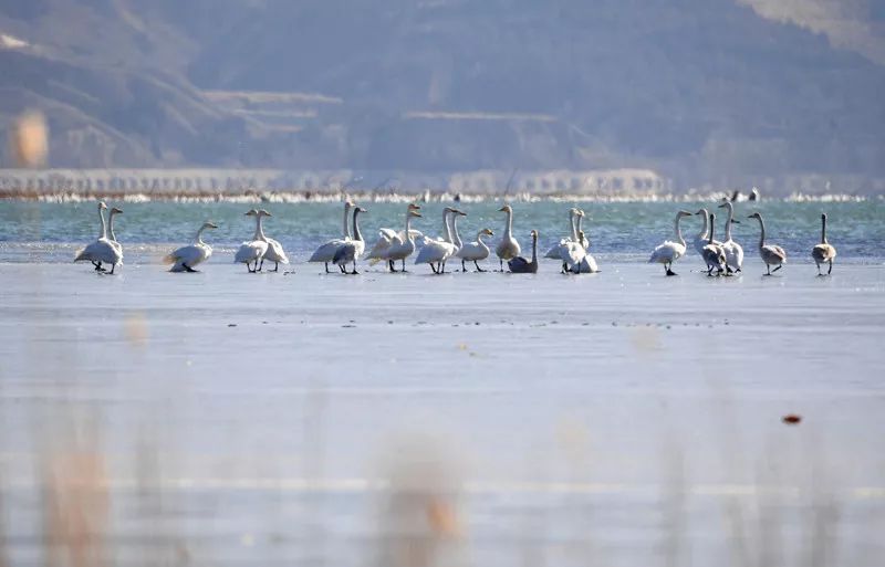 京张高铁一日游攻略,京张高铁沿线旅游资源