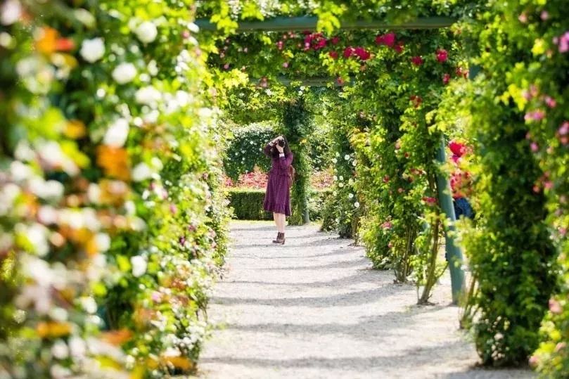 为什么温江人口没有郫都多,为什么温江会被称为金温江