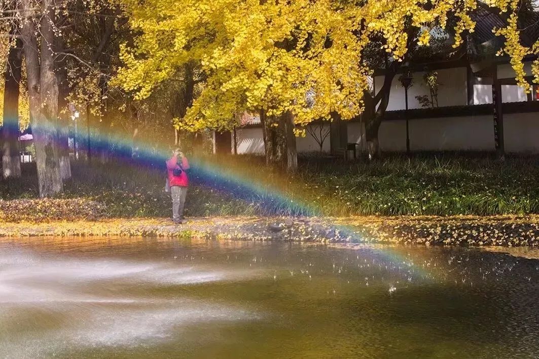 为什么温江人口没有郫都多,为什么温江会被称为金温江