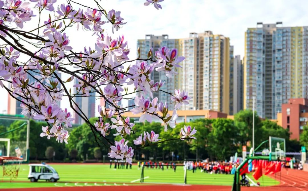 为什么温江人口没有郫都多,为什么温江会被称为金温江