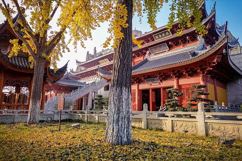 上海必打卡秋季美景,上海的秋季美景