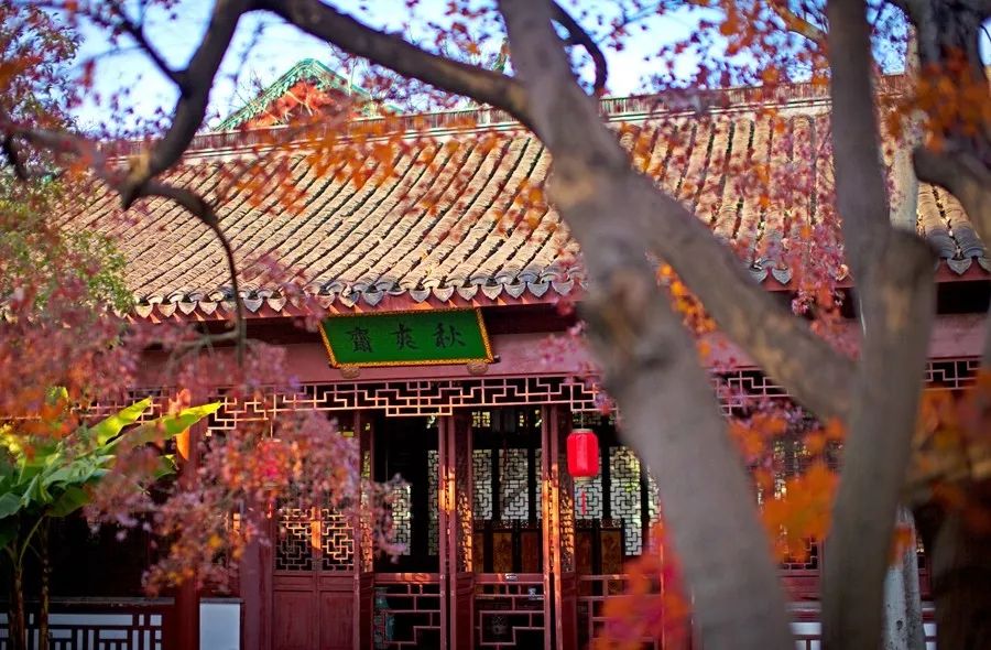 上海必打卡秋季美景,上海的秋季美景