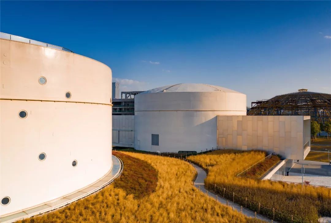 上海必打卡秋季美景,上海的秋季美景