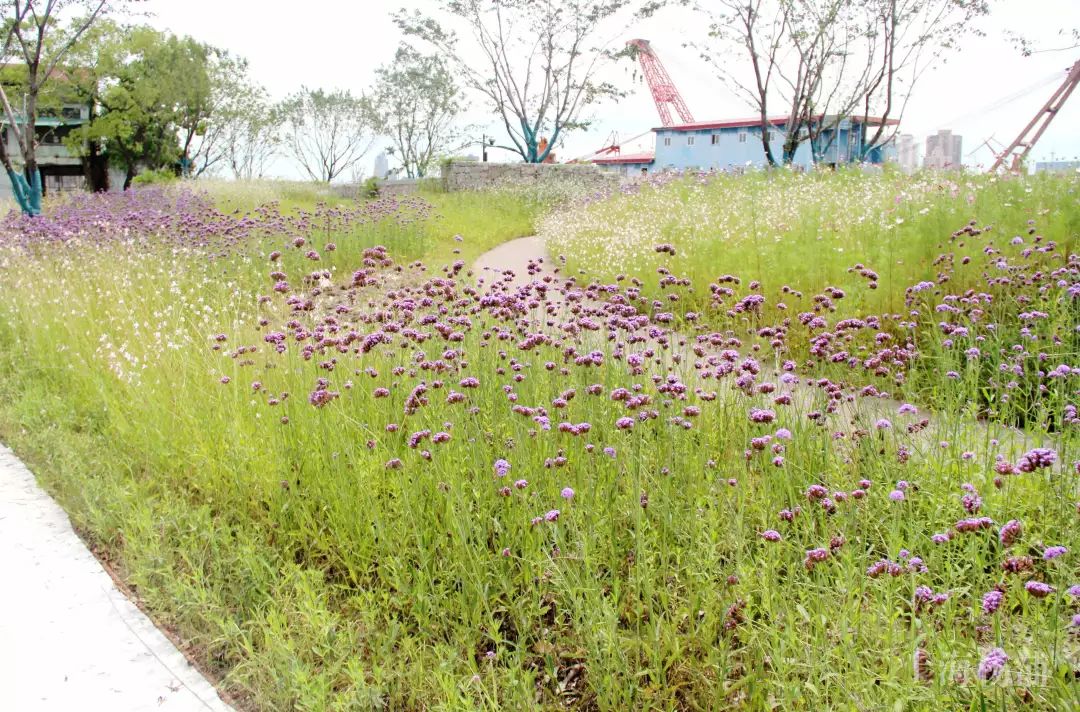 上海必打卡秋季美景,上海的秋季美景