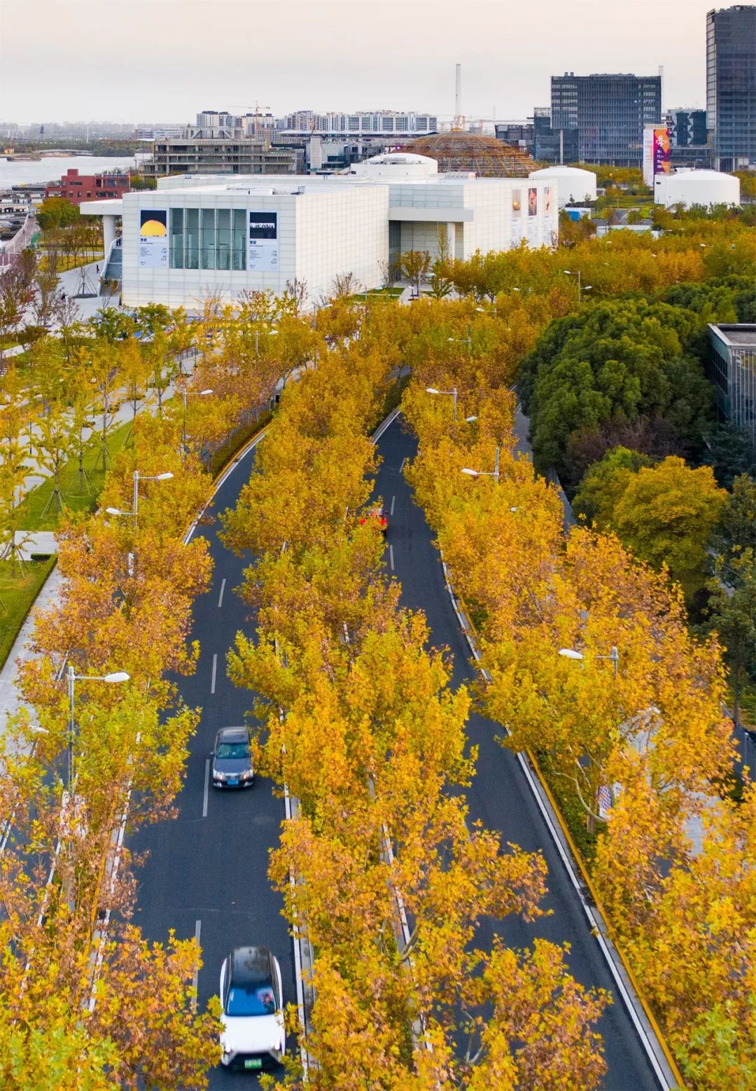 上海必打卡秋季美景,上海的秋季美景