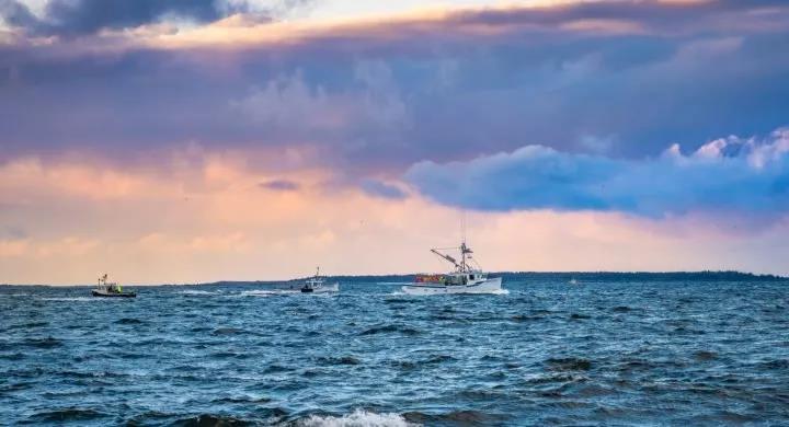 加拿大养殖龙虾价格表最新,加拿大龙虾最大产区