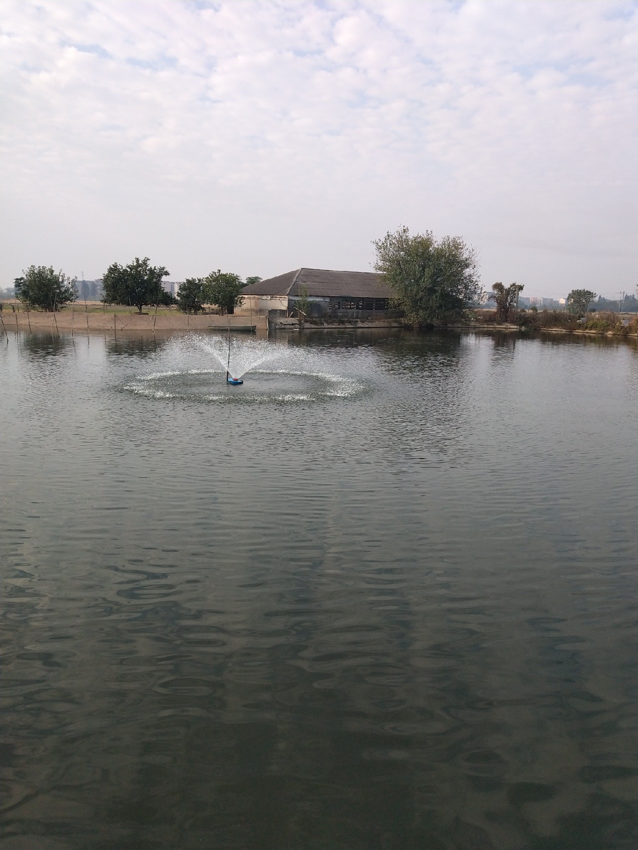 大号七星漂朝天钩专攻大板鲫,七星漂钓大板鲫用几号朝天钩