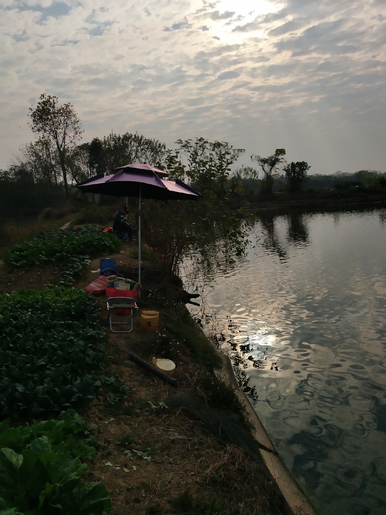 大号七星漂朝天钩专攻大板鲫,七星漂钓大板鲫用几号朝天钩