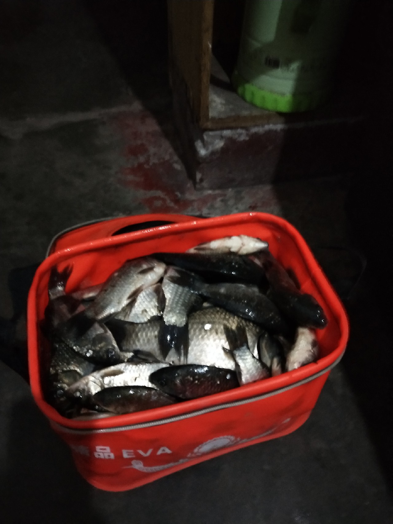 大号七星漂朝天钩专攻大板鲫,七星漂钓大板鲫用几号朝天钩