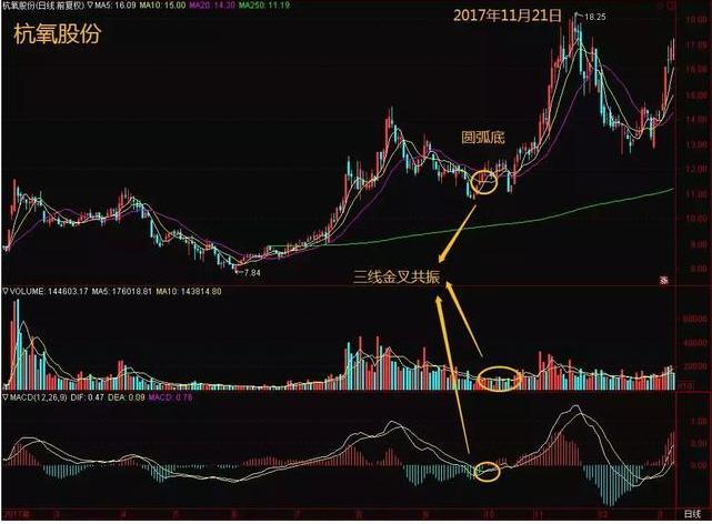 巴菲特点醒中国股民：下次牛市来临前，能不能保住本金才是关键问题，中年人如何保护自己的资产不缩水？