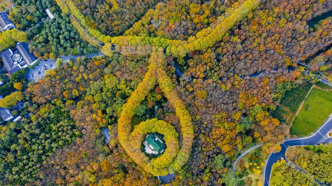 当镜头的高度上升,你将看到什么?