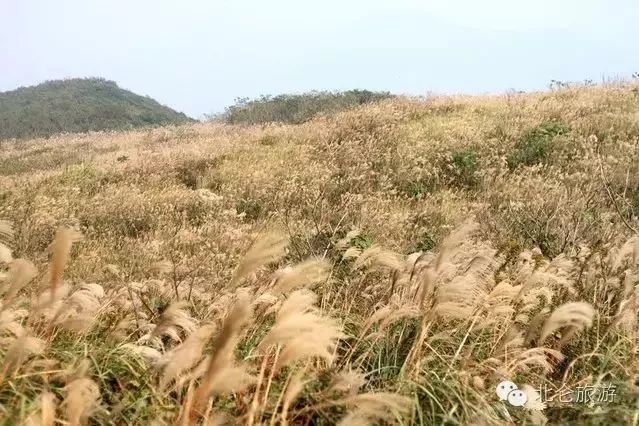 爬山推荐哪座山北仑,爬完桐庐所有的山