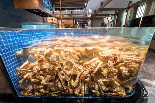 新店68折!杭州竟有餐厅公然把“浴缸”搬上桌,甚至为顾客准备了婚纱