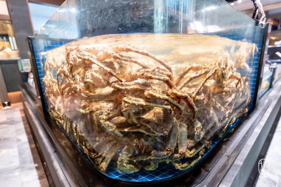 新店68折!杭州竟有餐厅公然把“浴缸”搬上桌,甚至为顾客准备了婚纱