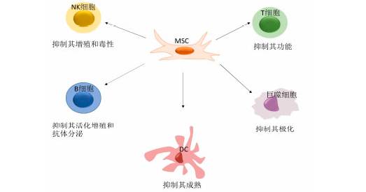 car-t治疗癌症要几次,盘点crispr基因编辑技术研究进展
