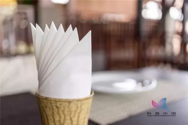 卫生纸擦嘴的正确方法,卫生纸擦嘴的危害