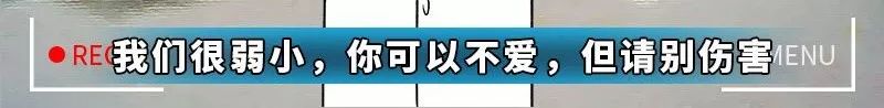 今天给大家曝光下“妇科男医生的秘密”