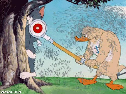 猫空中转体的动力学,猫空中转身的力学原理